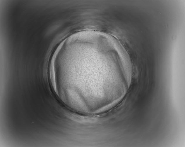 X0000088160004200705291921