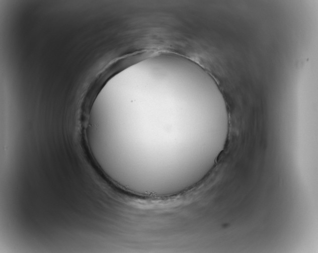 X0000088160005200705291921