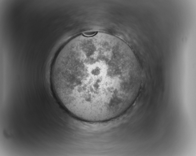 X0000088160006200705291921