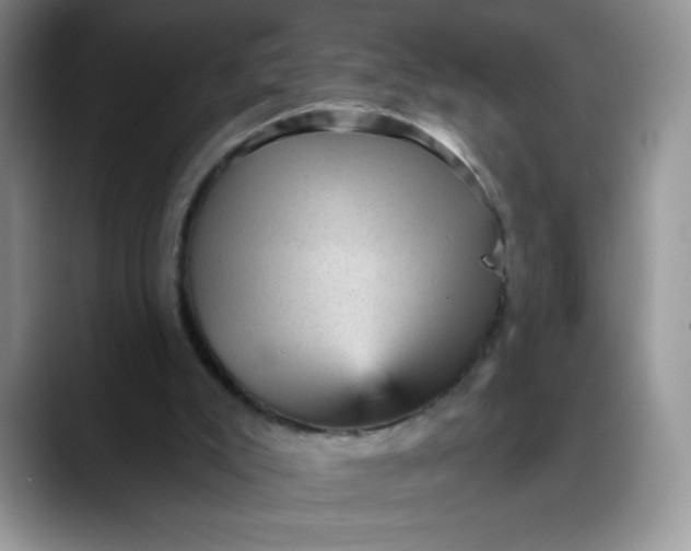 X0000088160007200705291921