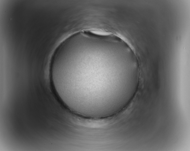 X0000088160008200705291921