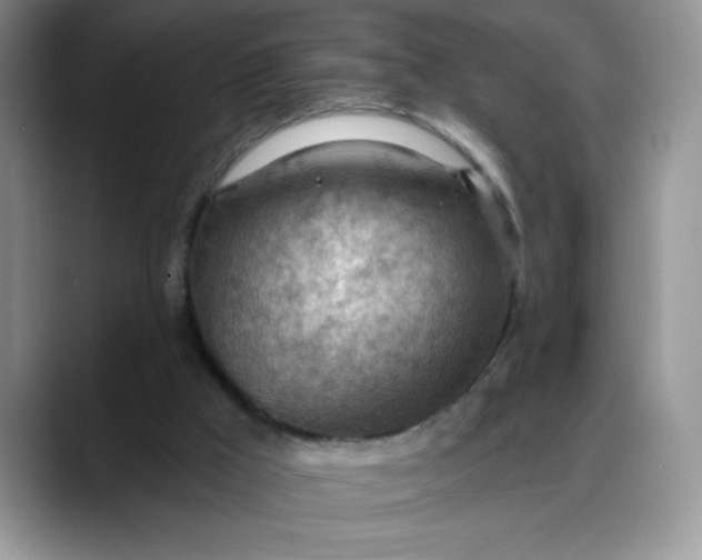 X0000088160009200705291921