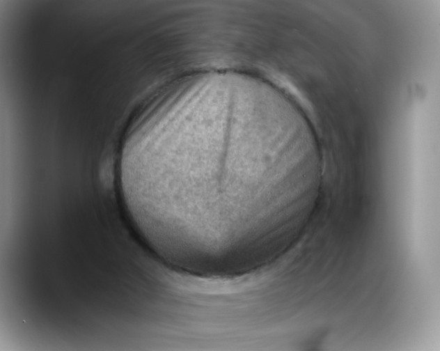 X0000088160010200705291921