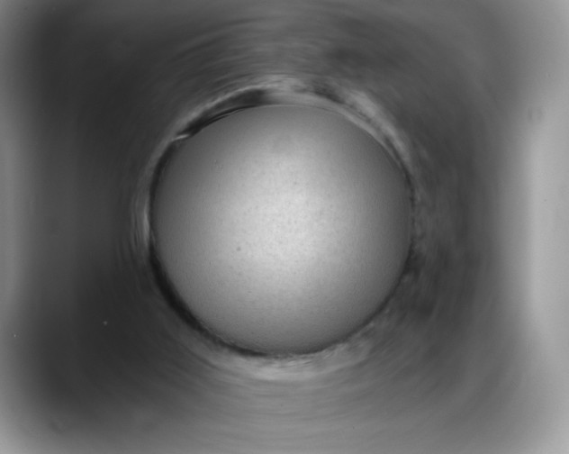 X0000088160011200705291921