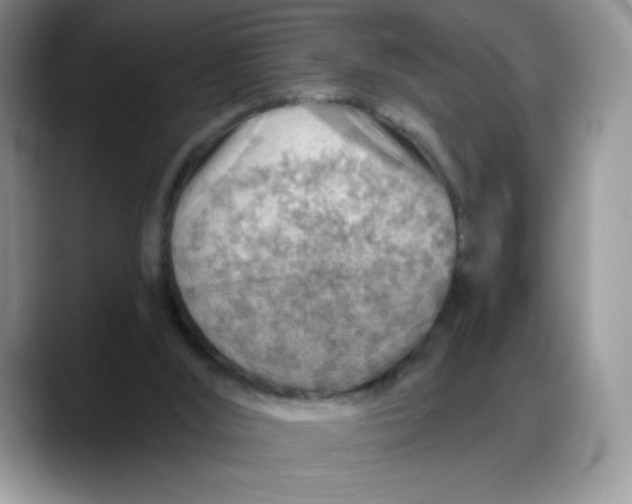 X0000088160012200705291921