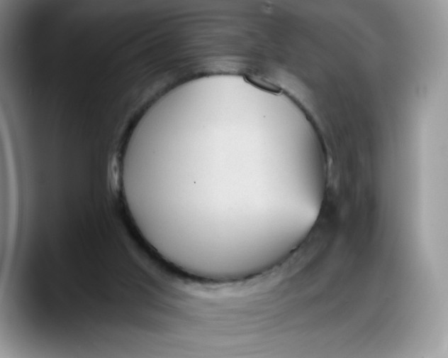 X0000088160013200705291921