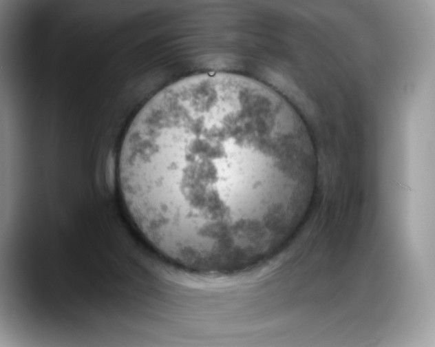 X0000088160014200705291921