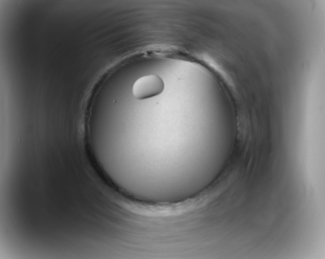 X0000088160015200705291921