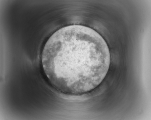 X0000088160016200705291921