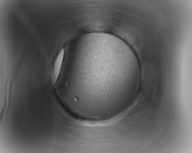 X0000088160017200705291921