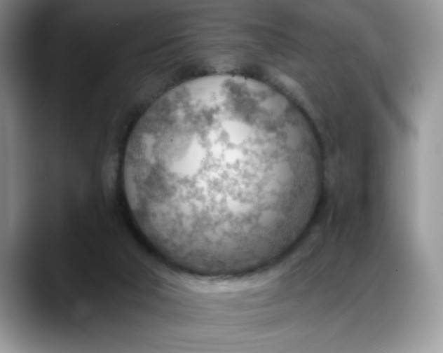 X0000088160018200705291921