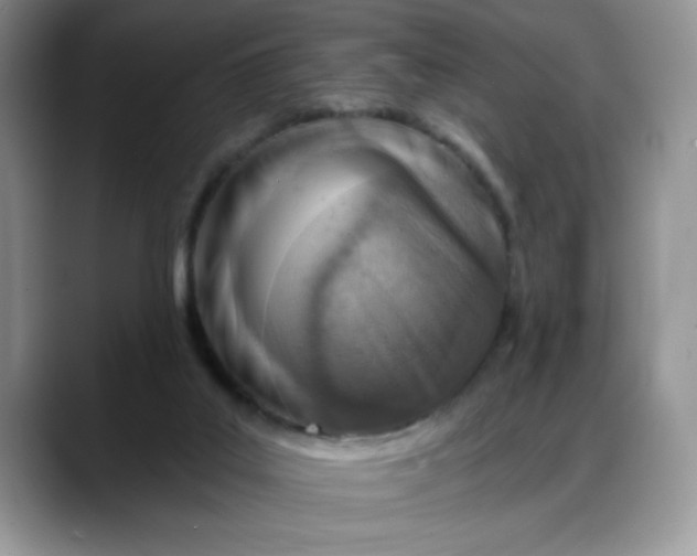 X0000088160019200705291921