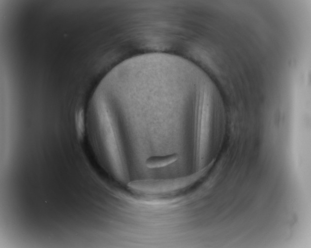 X0000088160020200705291921