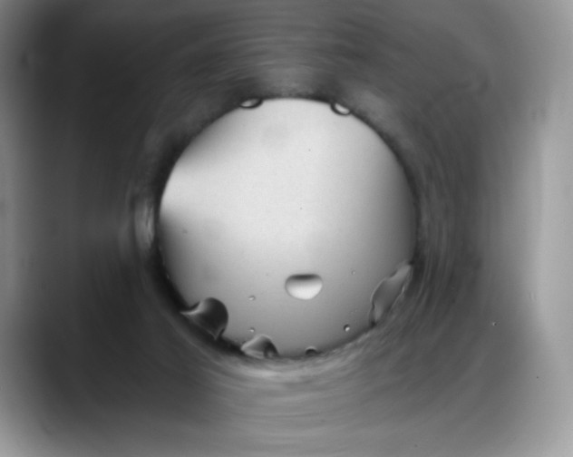 X0000088160021200705291921