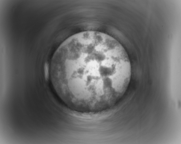 X0000088160022200705291921