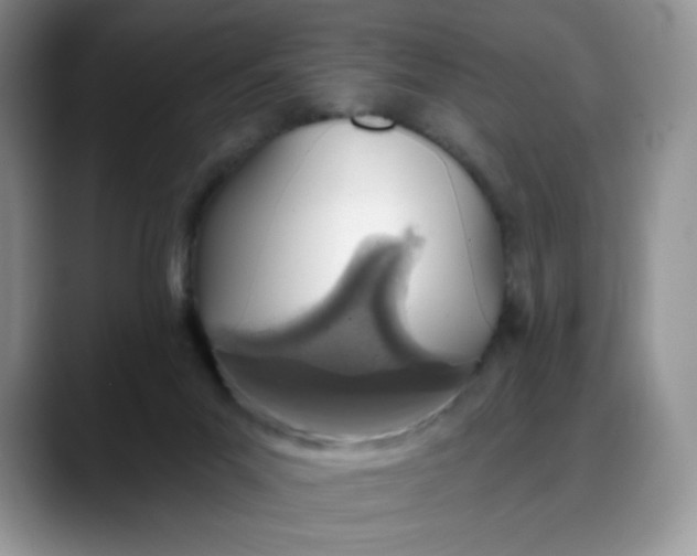 X0000088160023200705291921