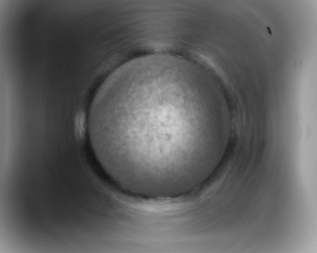 X0000088160024200705291921