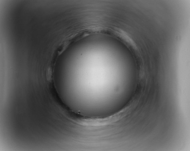 X0000088160025200705291921