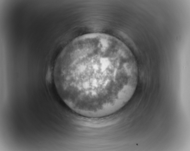 X0000088160026200705291921