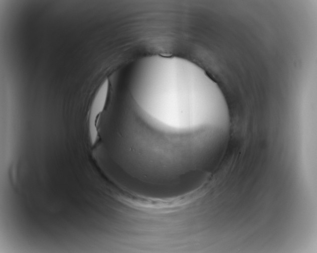 X0000088160027200705291920