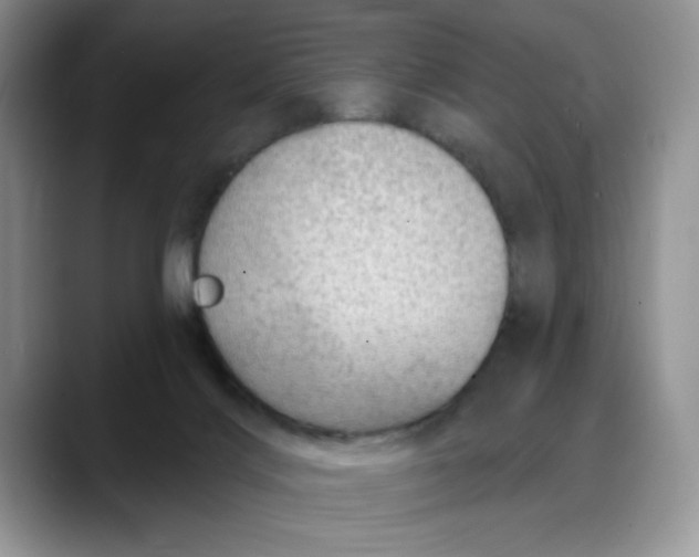 X0000088160028200705291920