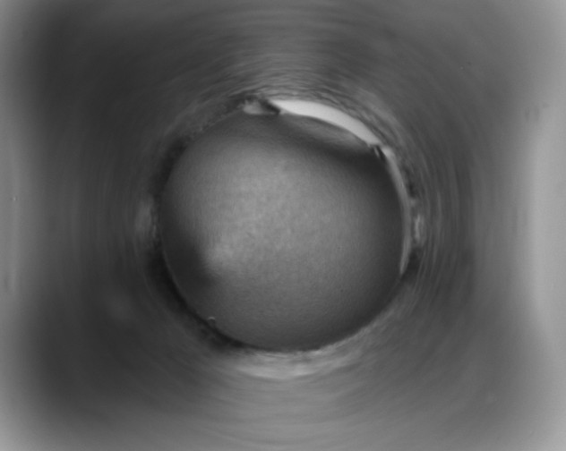 X0000088160029200705291920