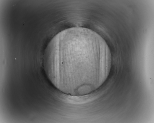 X0000088160030200705291920