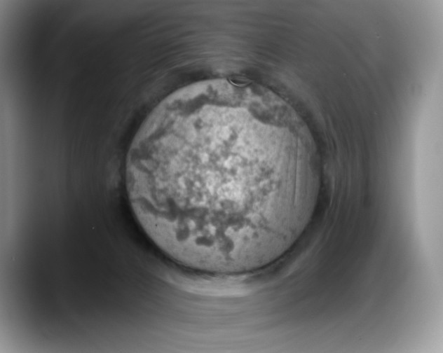 X0000088160032200705291920