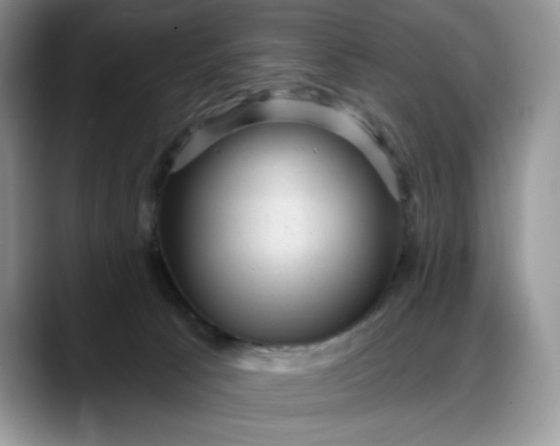 X0000088160033200705291920