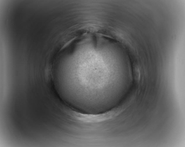 X0000088160034200705291920