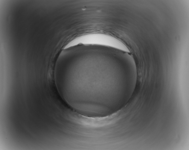 X0000088160035200705291920