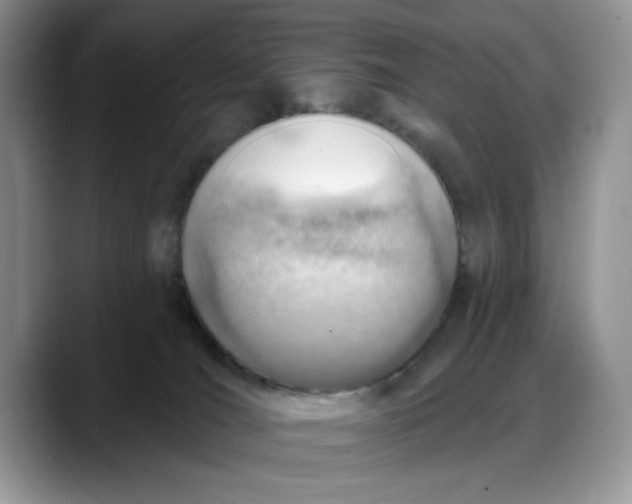 X0000088160036200705291920