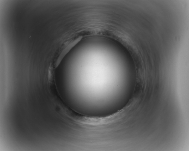 X0000088160037200705291920