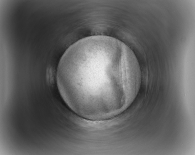 X0000088160038200705291920