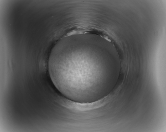 X0000088160039200705291920