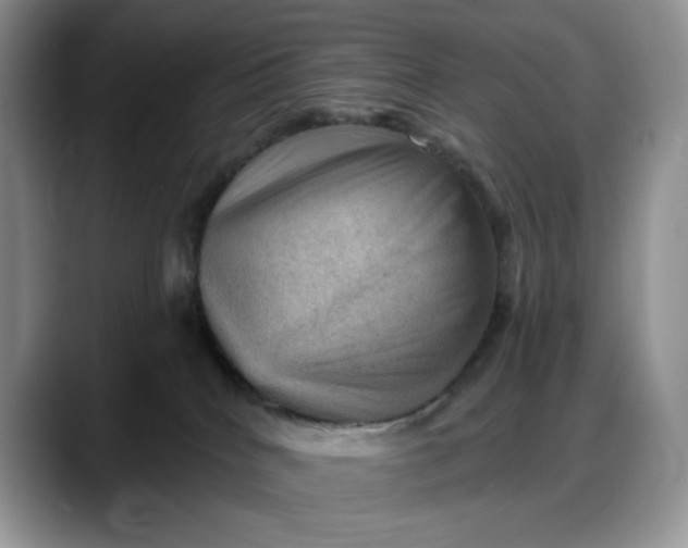 X0000088160040200705291920