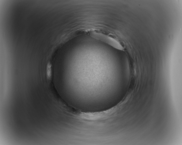 X0000088160041200705291920