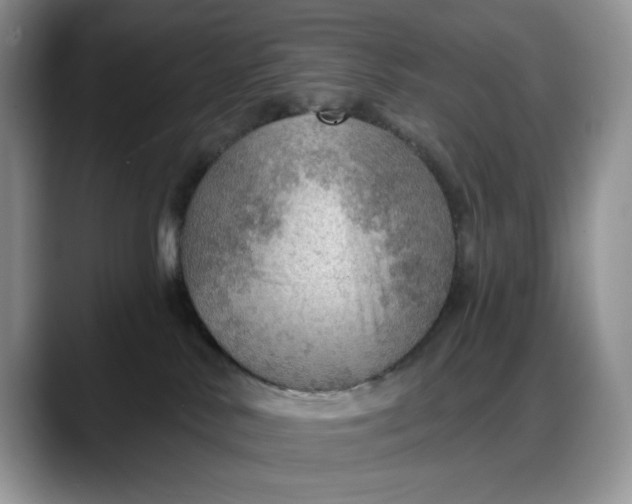 X0000088160042200705291920