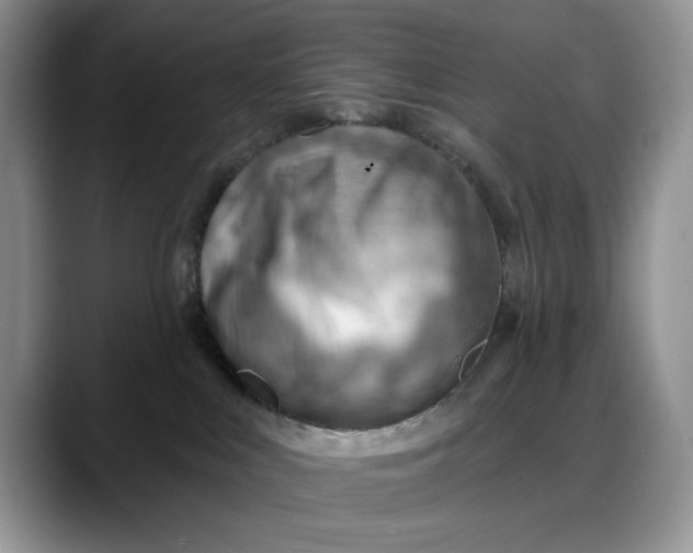 X0000088160043200705291920