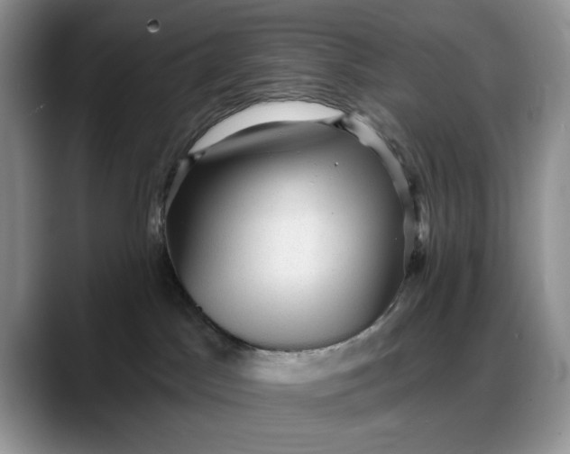 X0000088160045200705291920