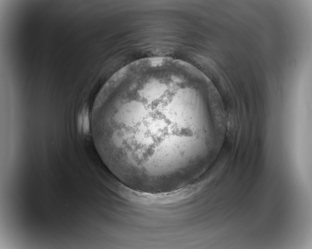 X0000088160046200705291920