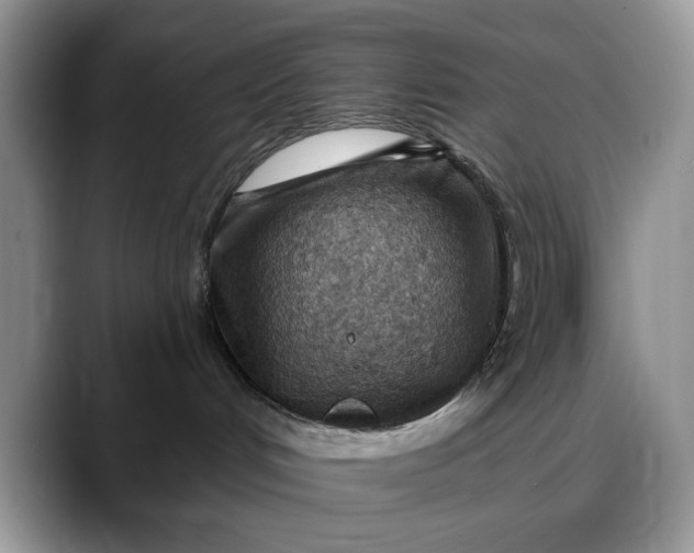 X0000088160048200705291920