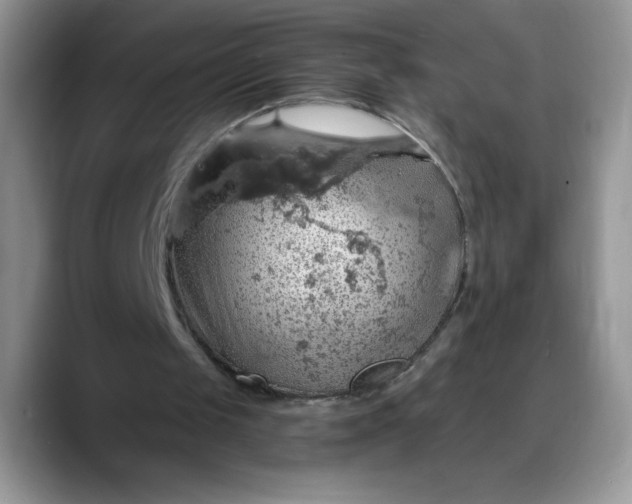 X0000088160049200705291920