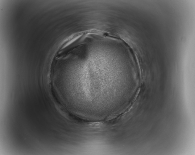 X0000088160050200705291920