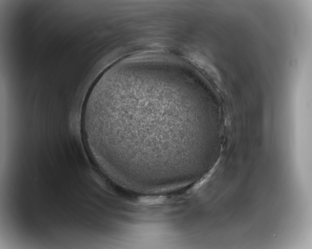 X0000088160051200705291920