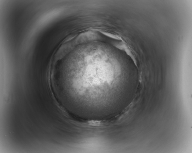 X0000088160052200705291920