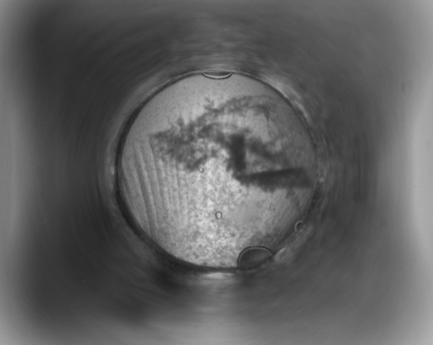 X0000088160053200705291920