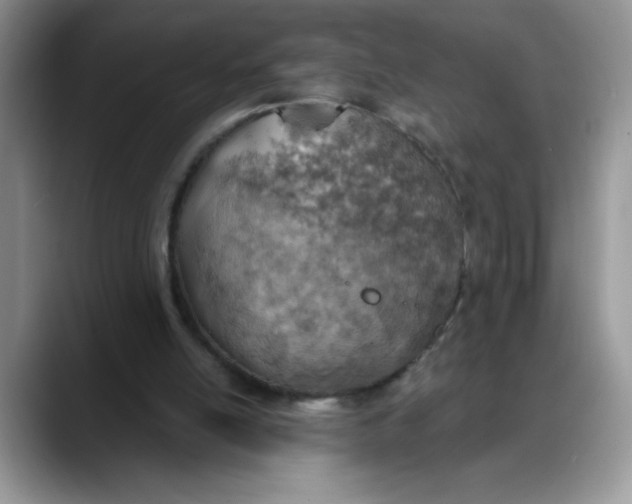 X0000088160054200705291920