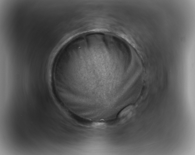 X0000088160055200705291920