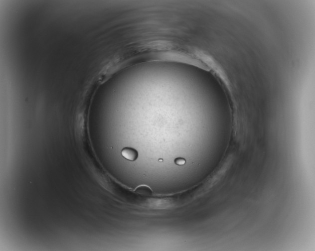 X0000088160057200705291920